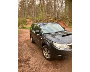 Subaru Forester Gebrauchtwagen