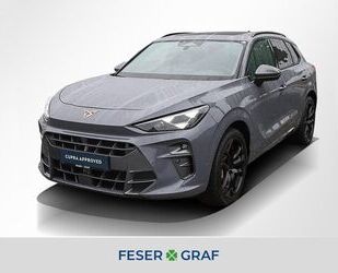 Cupra Terramar Gebrauchtwagen