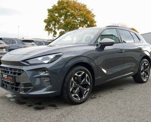 Cupra Terramar Gebrauchtwagen