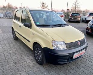 Fiat Panda Gebrauchtwagen