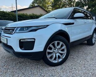 Land Rover Range Rover Evoque Gebrauchtwagen