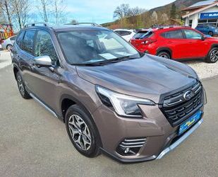 Subaru Forester Gebrauchtwagen