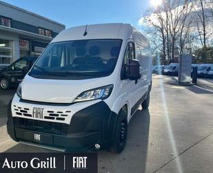 Fiat Ducato Gebrauchtwagen