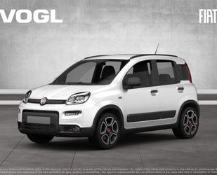 Fiat Panda Gebrauchtwagen