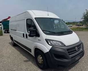 Fiat Ducato Gebrauchtwagen