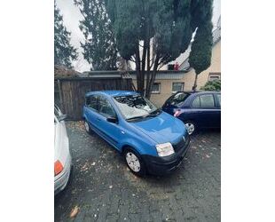 Fiat Panda Gebrauchtwagen