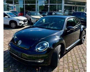 VW Beetle Gebrauchtwagen