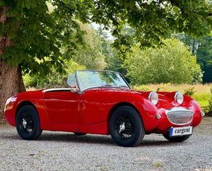 Austin Healey Andere Gebrauchtwagen