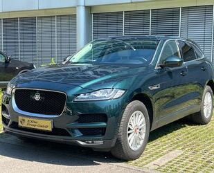 Jaguar F-Pace Gebrauchtwagen