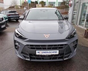 Cupra Terramar Gebrauchtwagen