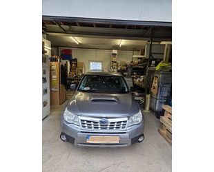 Subaru Forester Gebrauchtwagen