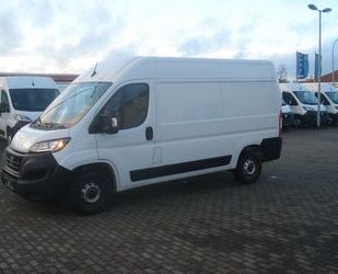 Fiat Ducato Gebrauchtwagen