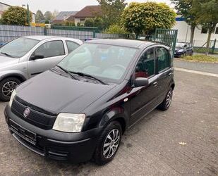 Fiat New Panda Gebrauchtwagen