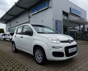 Fiat Panda Gebrauchtwagen