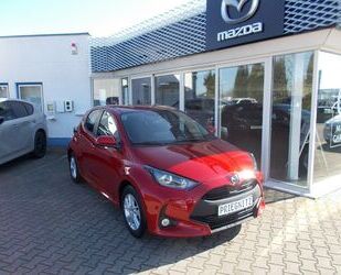 Mazda 2 Hybrid Gebrauchtwagen