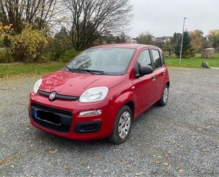 Fiat Panda Gebrauchtwagen
