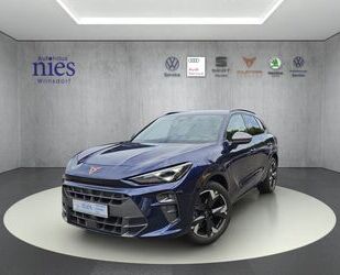 Cupra Terramar Gebrauchtwagen
