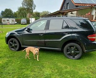 Mercedes-Benz ML 350 Gebrauchtwagen