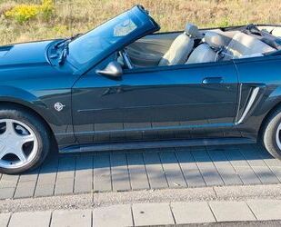Ford Mustang Gebrauchtwagen