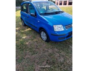 Fiat Panda Gebrauchtwagen