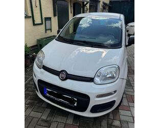 Fiat Panda Gebrauchtwagen