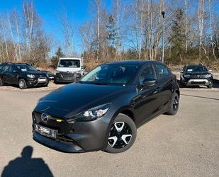 Mazda 2 Gebrauchtwagen