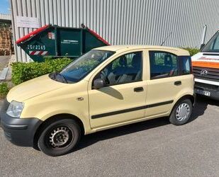 Fiat Panda Gebrauchtwagen