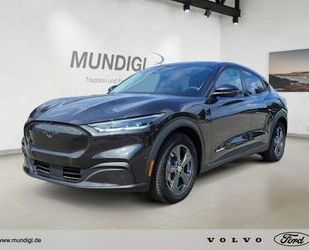 Ford Mustang Mach-E Gebrauchtwagen
