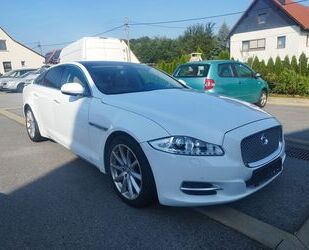 Jaguar XF Gebrauchtwagen