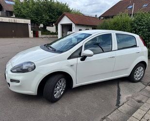 Fiat Punto Gebrauchtwagen