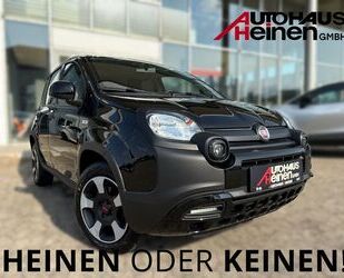Fiat Panda Gebrauchtwagen