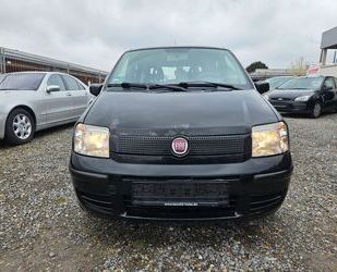 Fiat Panda Gebrauchtwagen