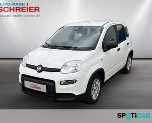 Fiat Panda Gebrauchtwagen