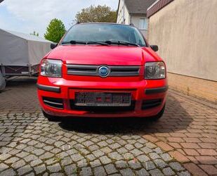 Fiat Panda Gebrauchtwagen