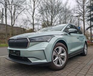 Skoda Enyaq Gebrauchtwagen