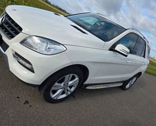 Mercedes-Benz ML 350 Gebrauchtwagen