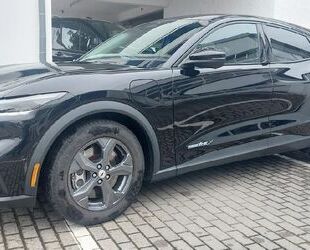 Ford Mustang Mach-E Gebrauchtwagen