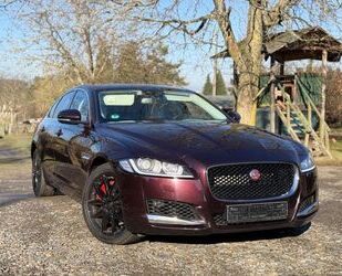 Jaguar XF Gebrauchtwagen