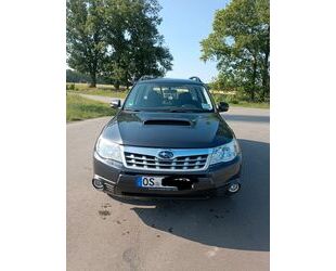 Subaru Forester Gebrauchtwagen