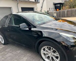 Tesla Model Y Gebrauchtwagen