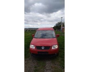 VW Caddy Maxi Gebrauchtwagen