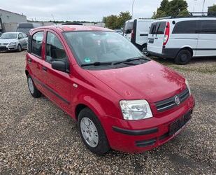 Fiat Panda Gebrauchtwagen