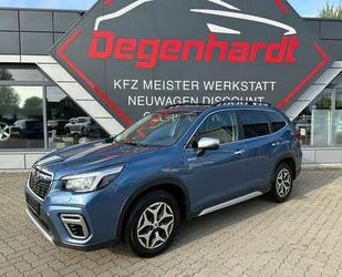Subaru Forester Gebrauchtwagen
