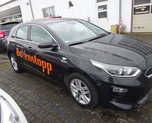 Kia ceed / Ceed Gebrauchtwagen