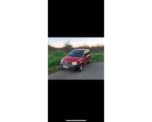 Fiat Panda Gebrauchtwagen