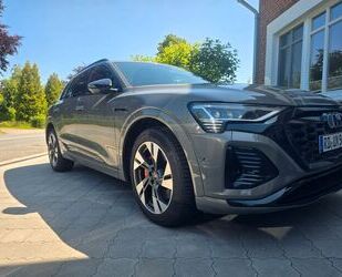 Audi Q8 e-tron Gebrauchtwagen