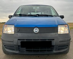 Fiat Panda Gebrauchtwagen
