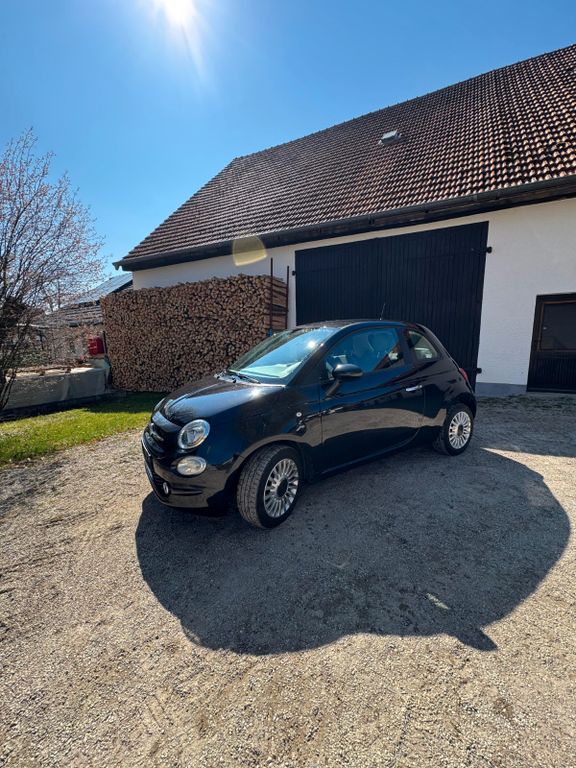 Bild 1