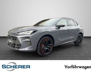 Cupra Terramar Gebrauchtwagen