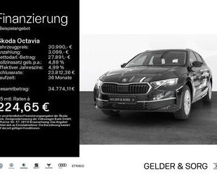 Skoda Octavia Gebrauchtwagen
